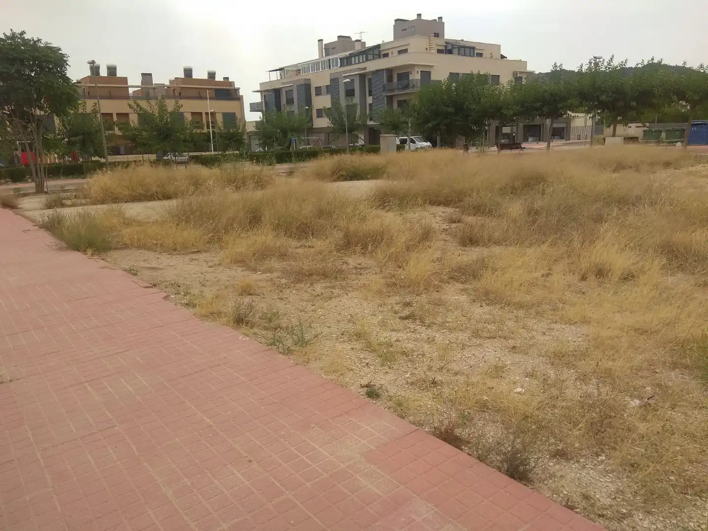 Terreny rústic en venda a CL EL CAMPELLO, imagen 13