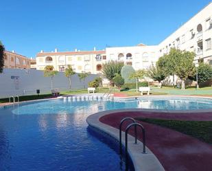 Swimming pool of Flat for sale in Torrevieja