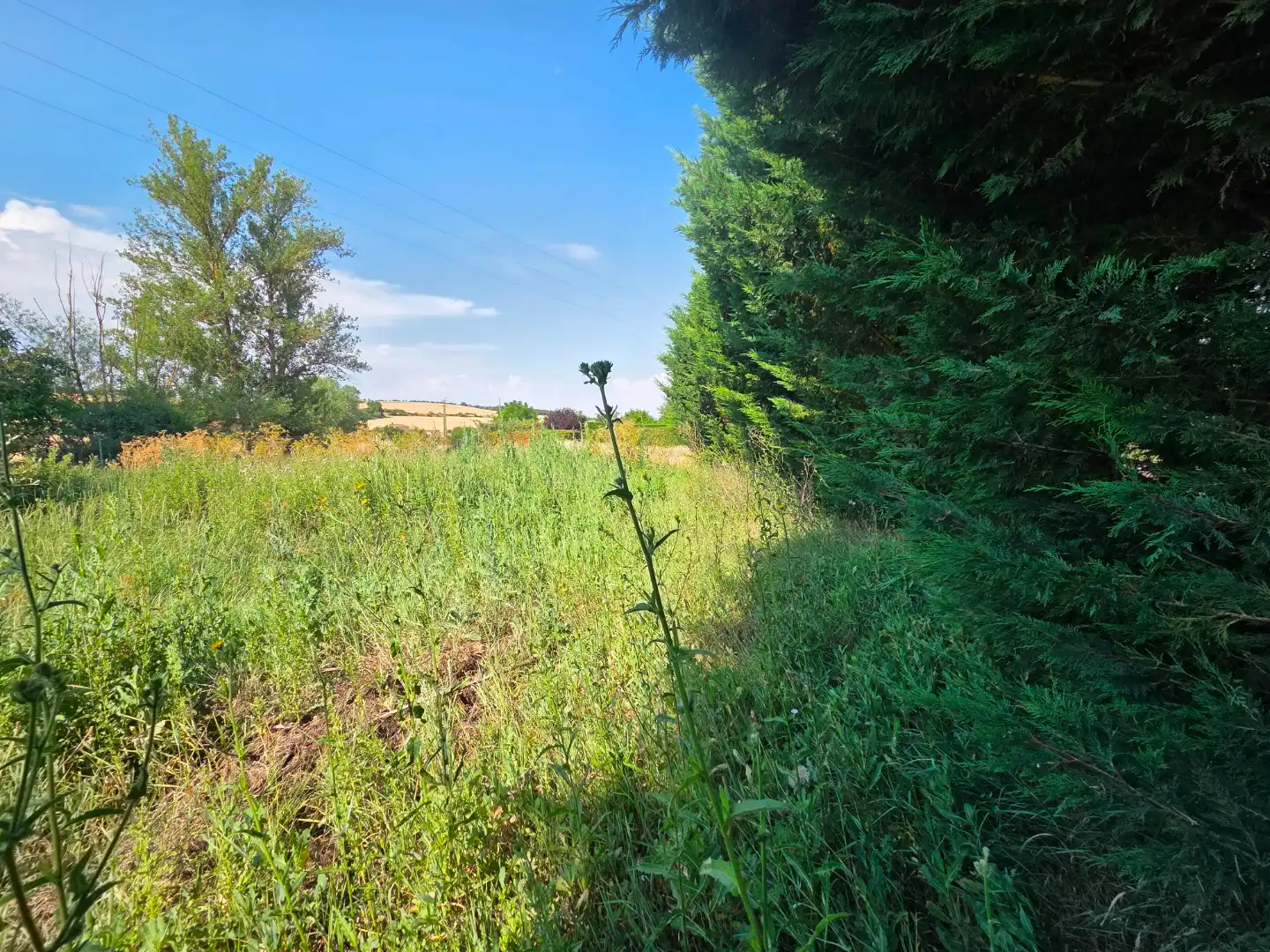 Terreno en venta en Orbaneja Riopico