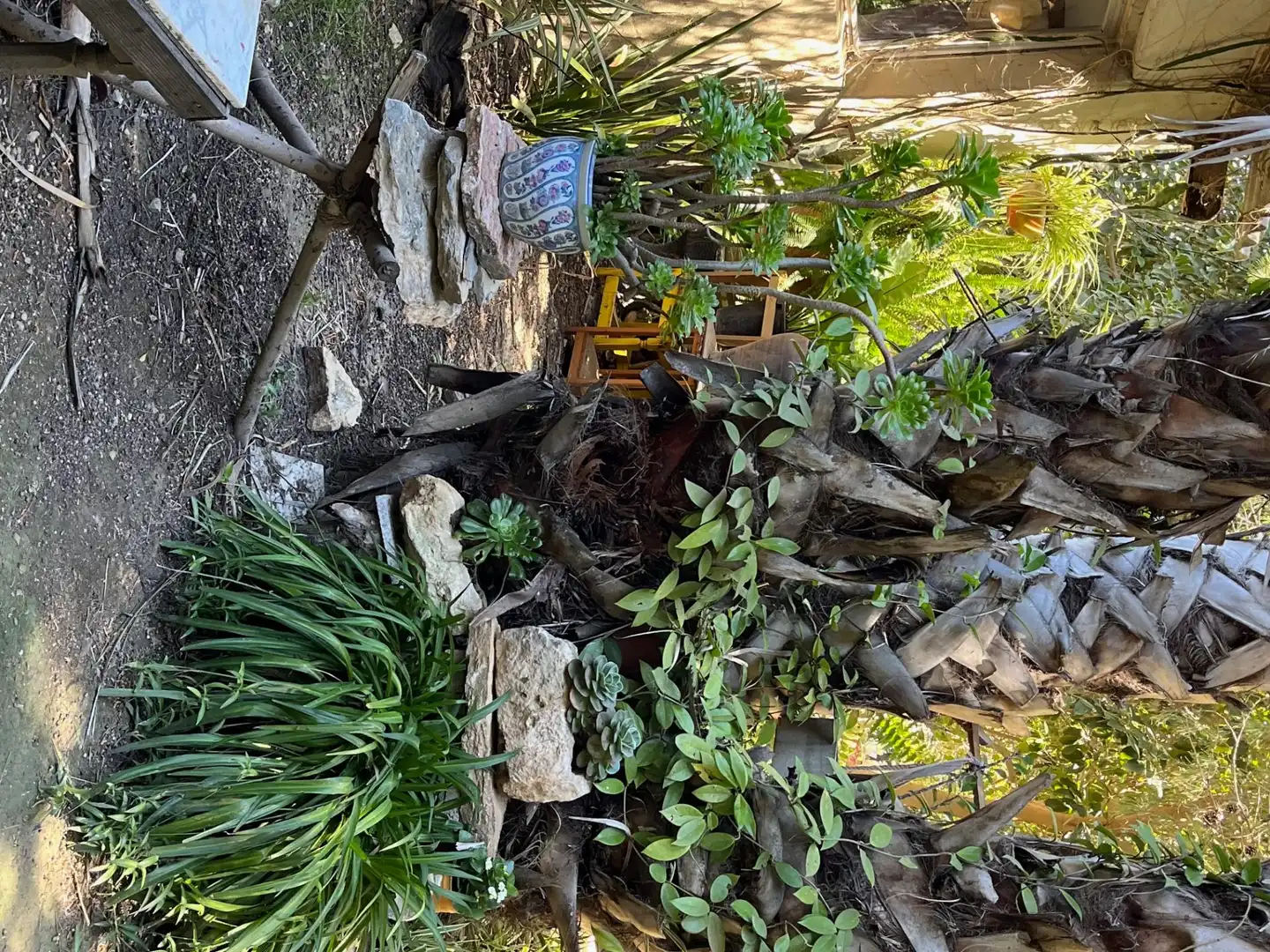 Jardín de Finca rústica de alquiler en Catral con Jardín privado