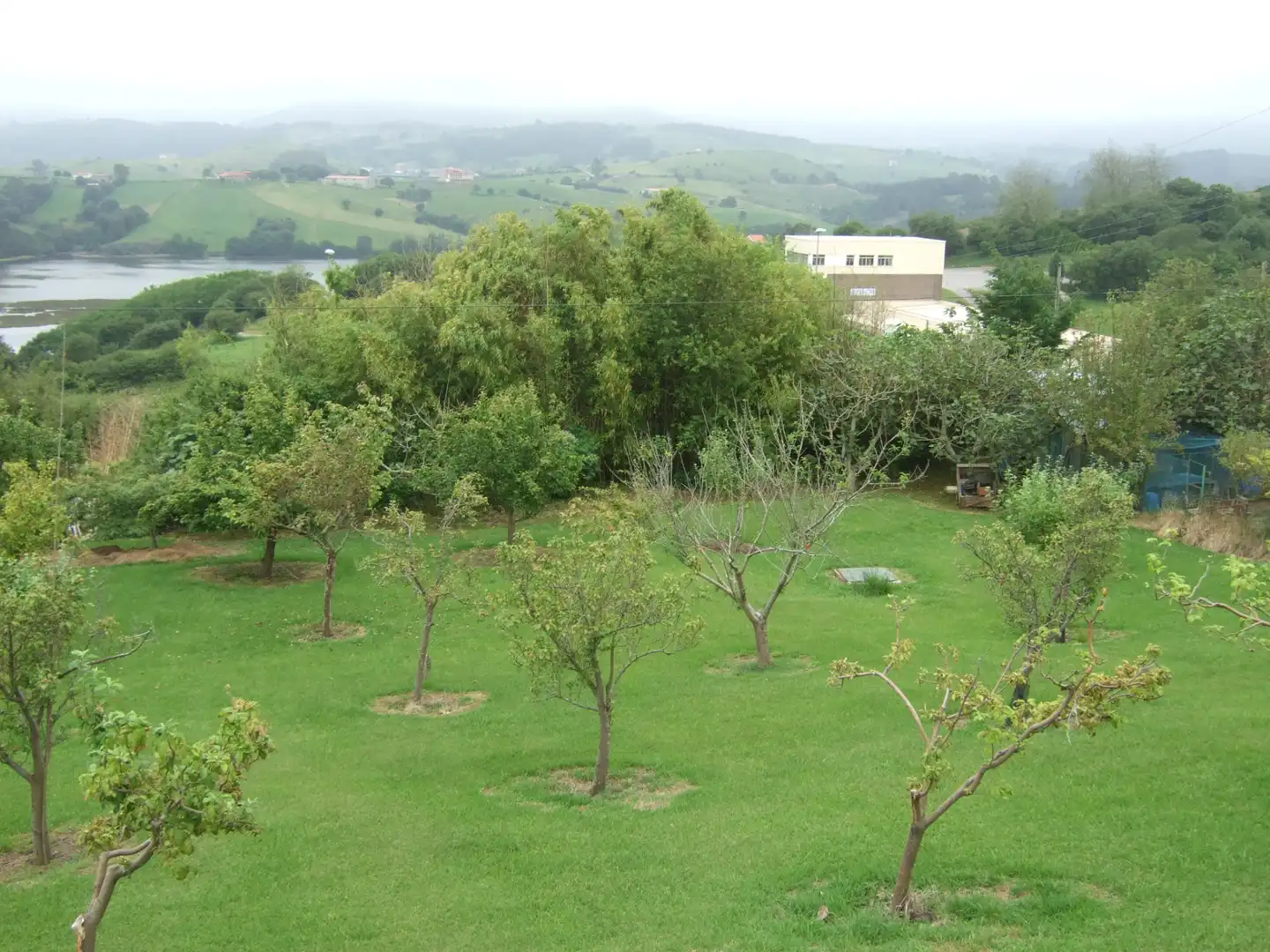 Garden of Houses for sale in San Vicente de la Barquera  with Heating, Private garden and Storage room