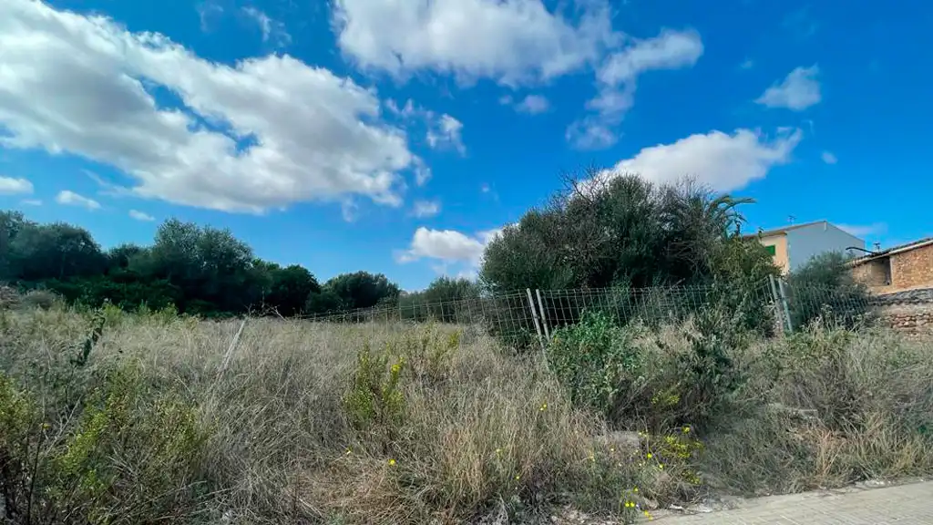 Terreno rustico in vendita a Campos poble