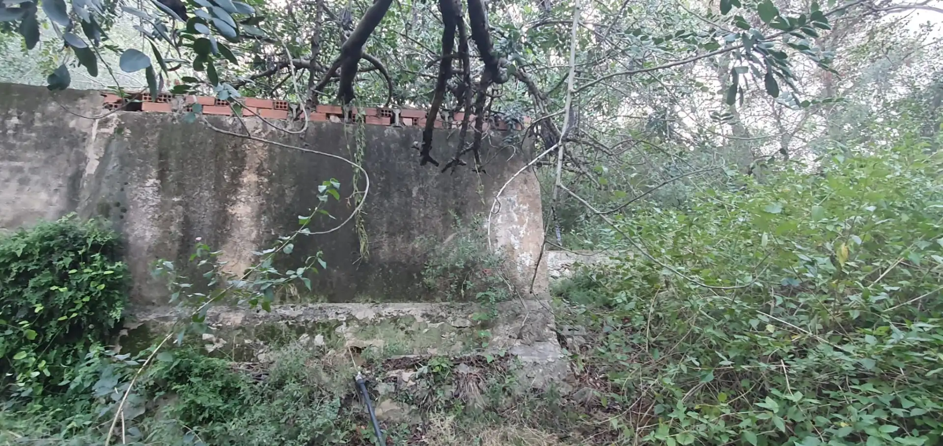 Nave industrial in vendita a camí Racó dels Frares, imagen 16