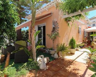 Jardí de Casa o xalet en venda en Torrevieja amb Aire condicionat, Terrassa i Piscina