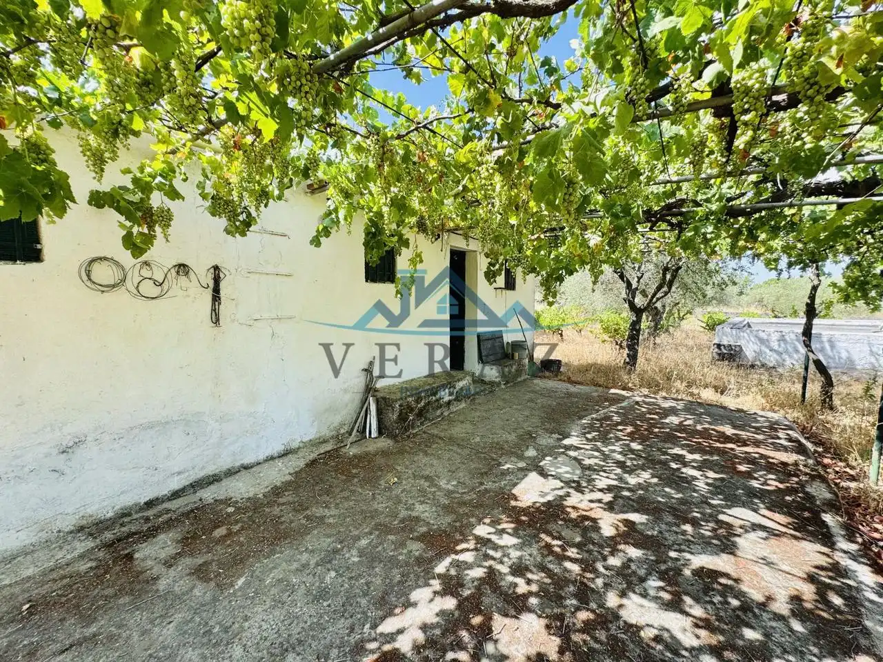 Terreno rústico en venta en Diseminado, imagen 4
