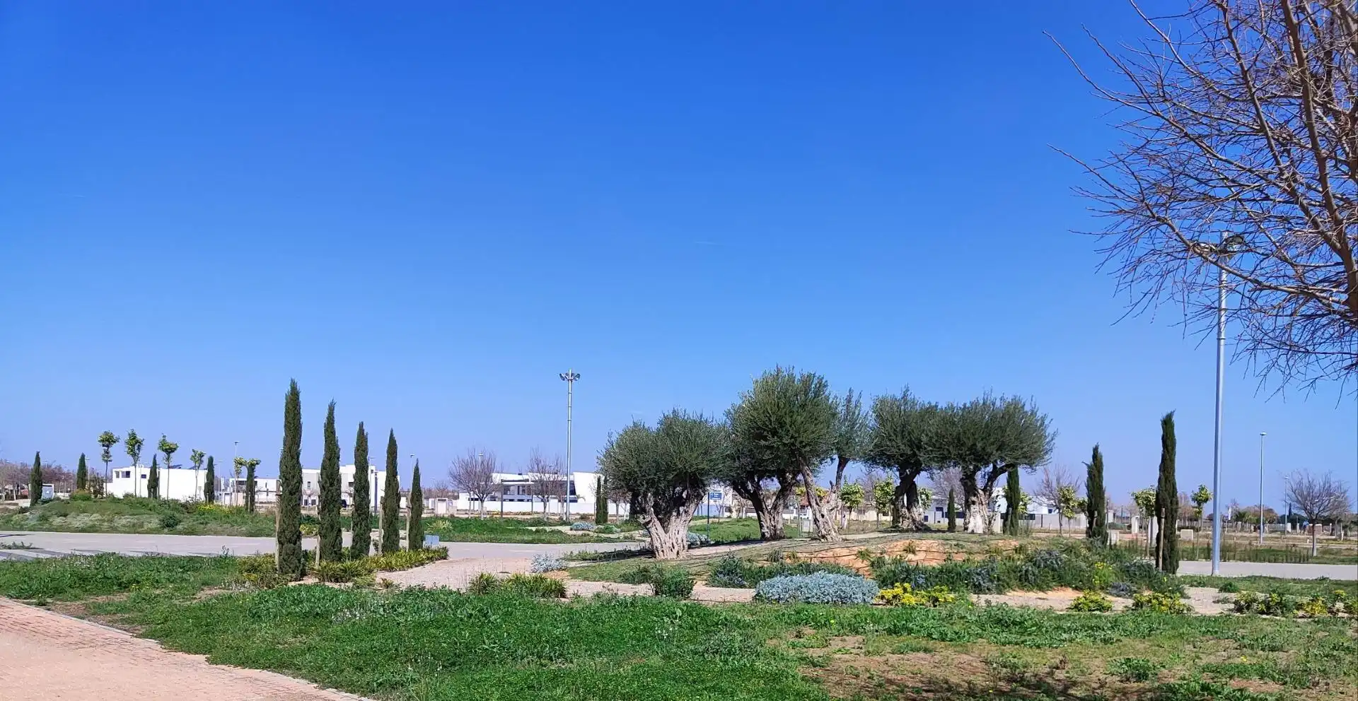 Jardín de Ático en venta en Torre-Pacheco con Terraza y Piscina comunitaria