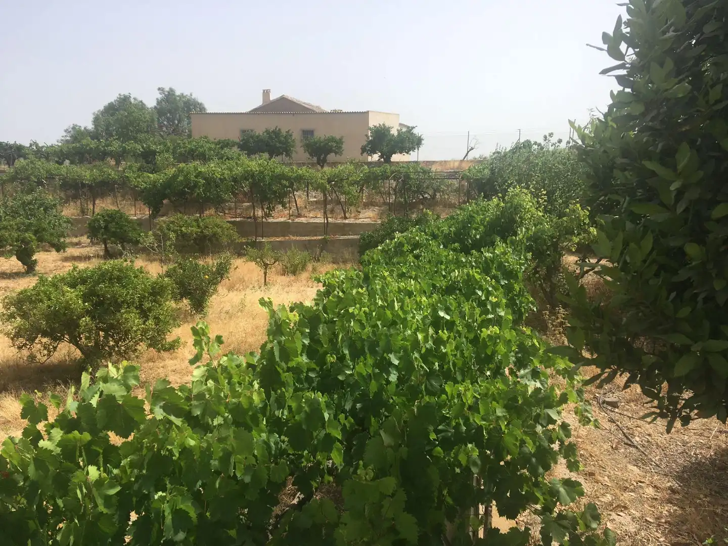Country house zum Verkauf in Lorca mit Privatgarten und Schwimmbad