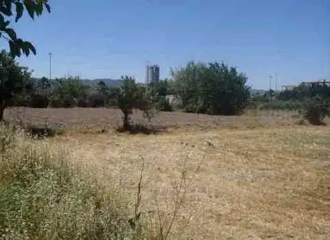 Rural land for sale in Av Torre de Villescas, imagen 6