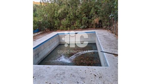 CASA DE CAMPO CON PISCINA LUZ AGUA LEGAL. OLIVAR 9 FANEGAS. TIERRA CALMA  3,5 FANEGAS A UN PASO DE BAENA