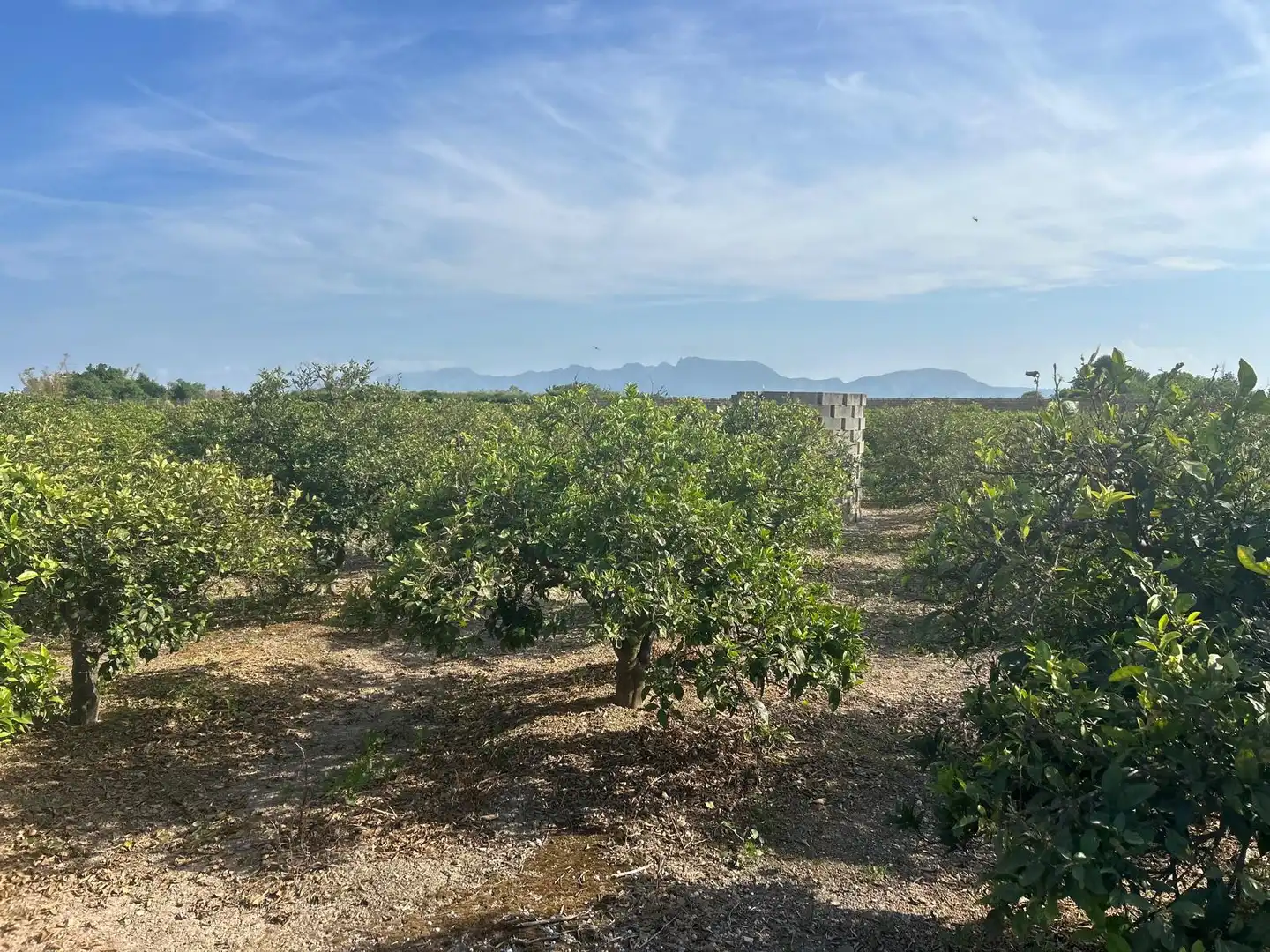 Rural land for sale in Carrer del Pou