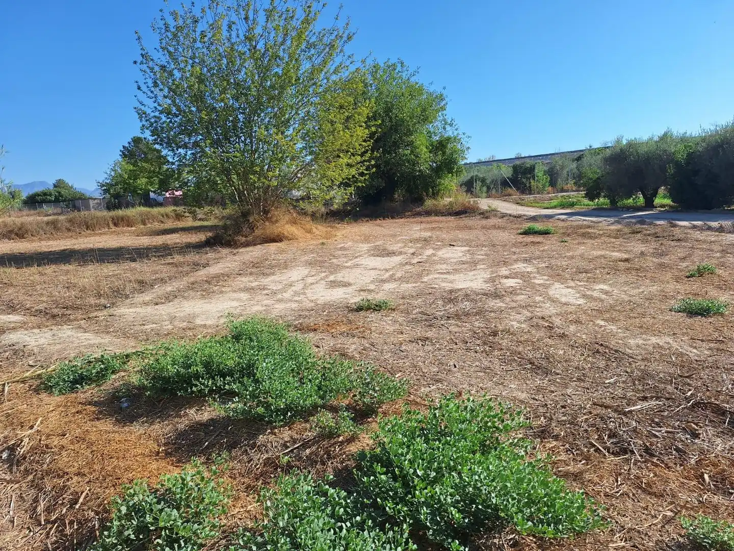 Terreno en venta en Camino del Hondón, El Llano