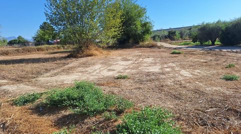 Foto 2 de Terreno en venta en Camino del Hondón, El Llano, Molina de Segura