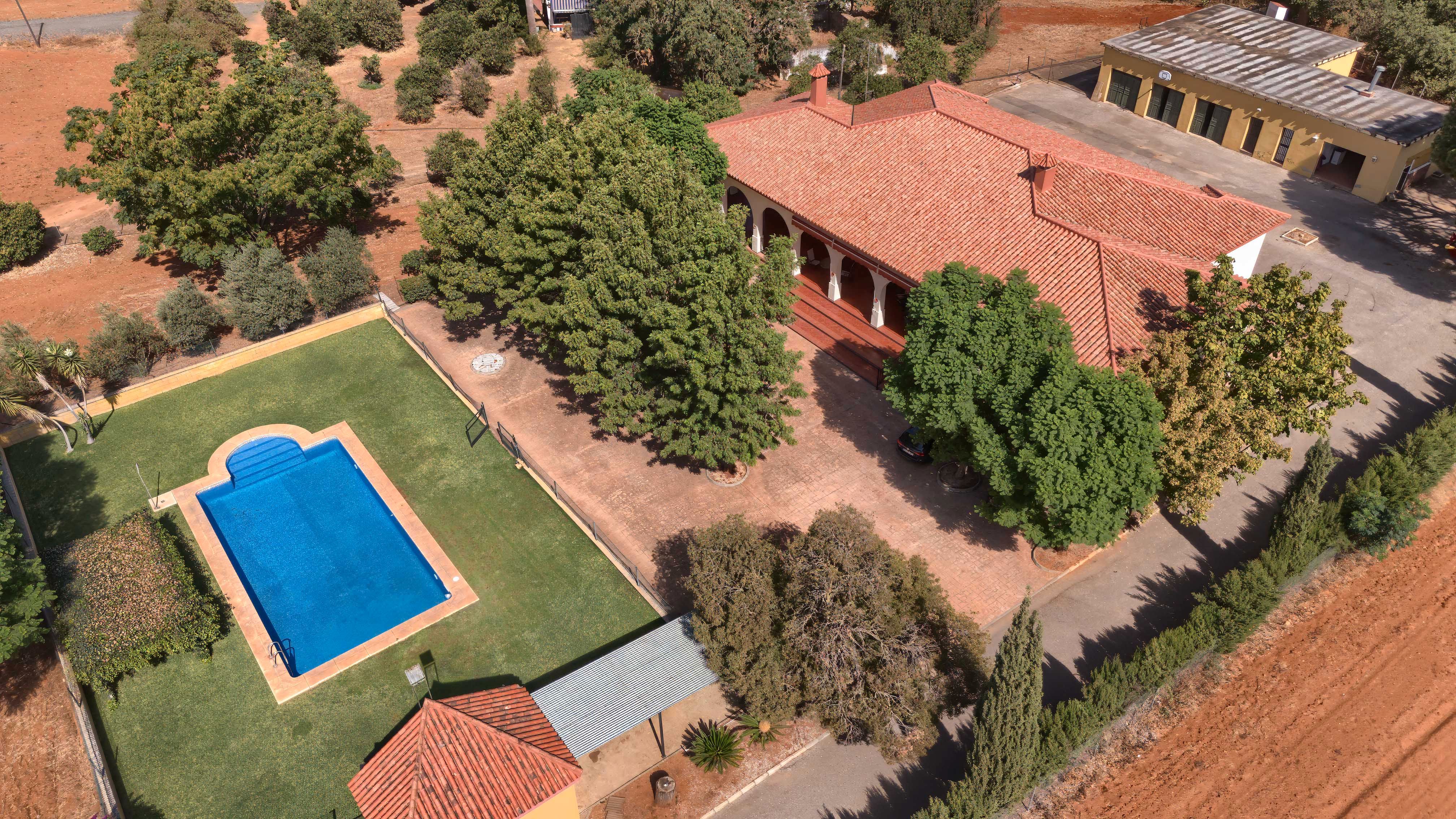 Jardí de Finca rústica en venda en Mairena del Alcor amb Jardí privat, Terrassa i Piscina