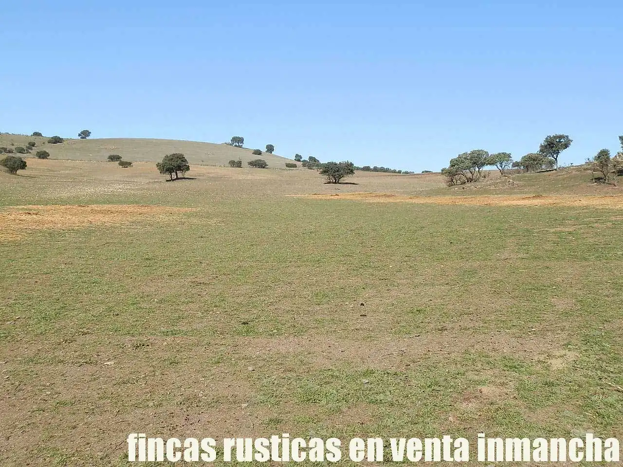 Terreno en venta en Almuradiel