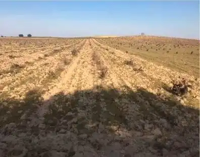 Terreno en venta en Villanueva de Campeán