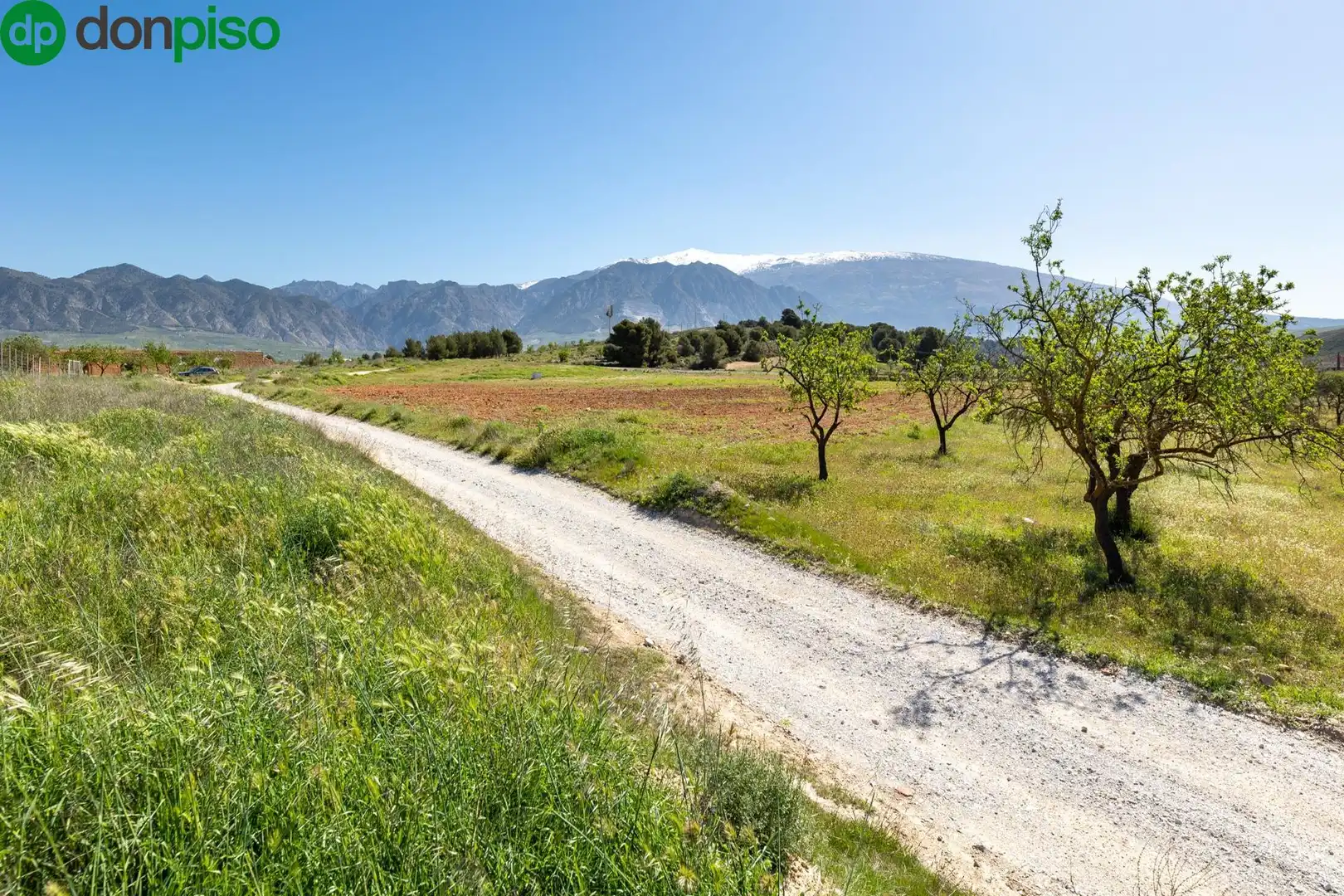 Terreny rústic en venda a tesoro de villamena, imagen 16