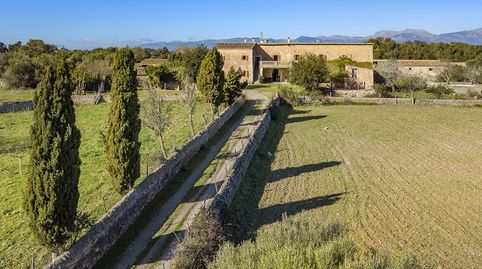 Maravillosa finca para reformar en venta cerca de Sineu, Mallorca, imatge 3