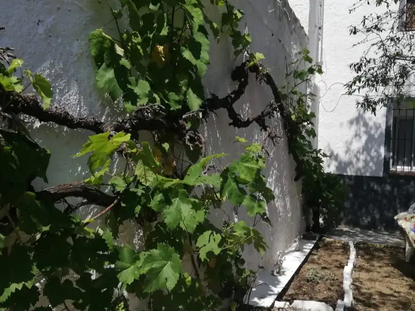 Habitatge amb jardí en venda a Calle Huesca 18, imagen 88