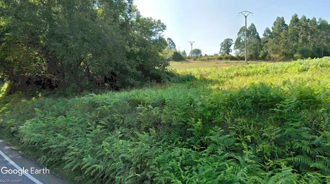 Terreno rústico en venta en Coaña, imagen 8