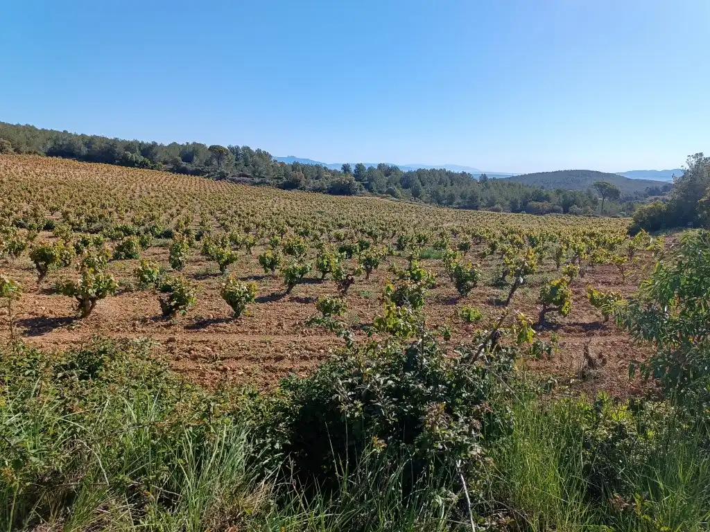 Rustikales Grundstück zum Verkauf in Sant Julià, imagen 3