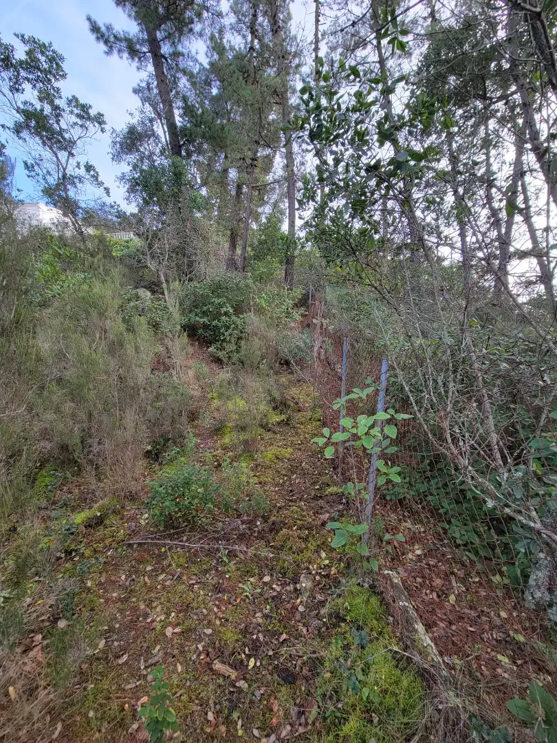 Finca rústica en venda en Lloret de Mar amb Aire condicionat, Jardí privat i Alarma