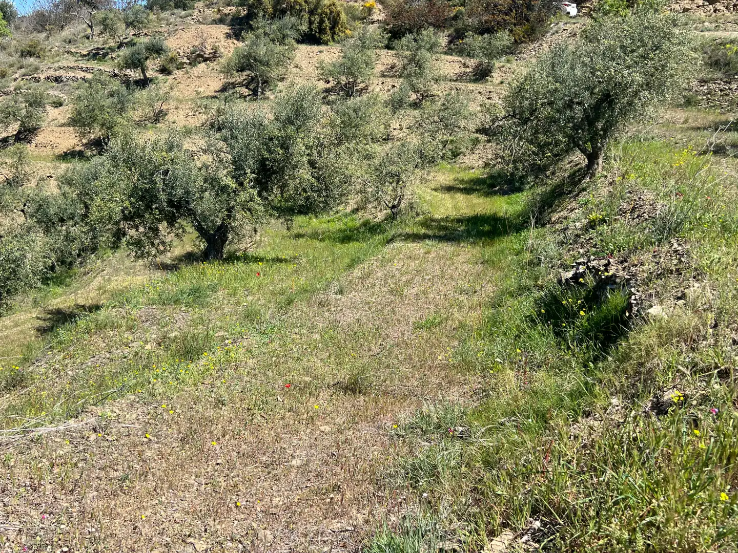 Rural land for sale in Gratallops, imagen 16