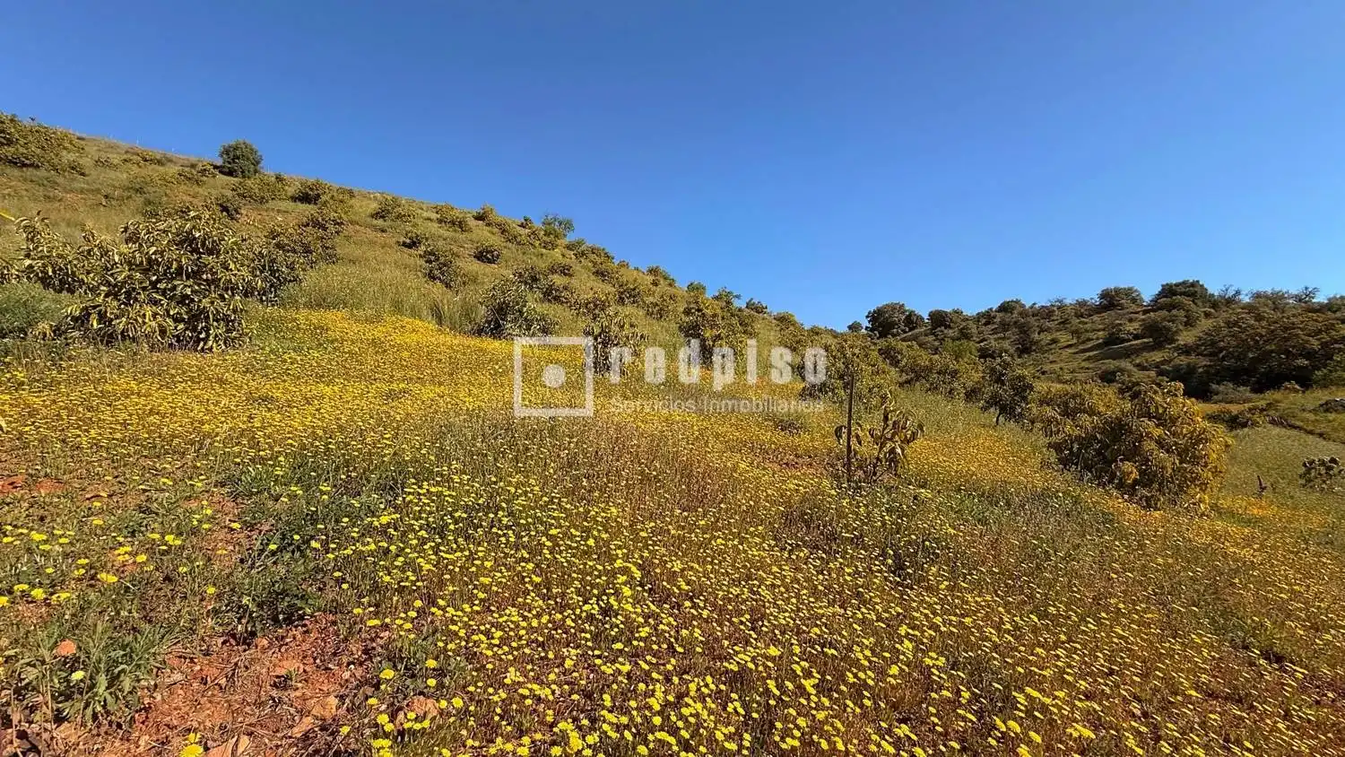 Casa con jardín en venta en Diseminados, imagen 58