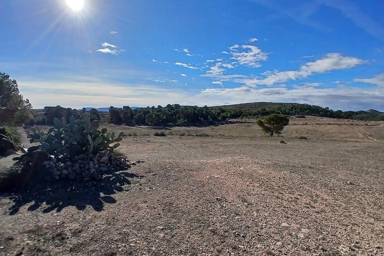Finca rústica en venda en Caudete