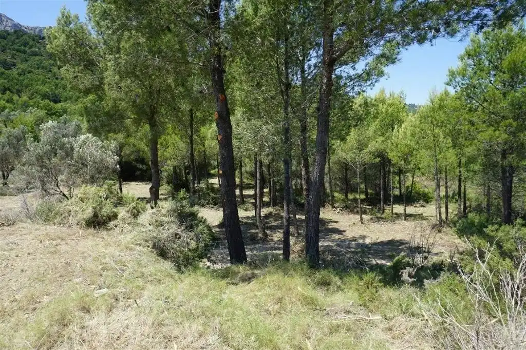 Land for sale in El Castell de Guadalest