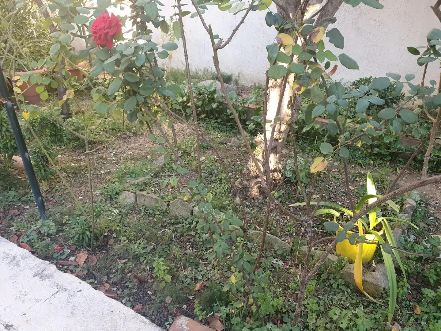 Houses for rent in Mollet del Vallès  with Heating, Private garden and Parquet flooring