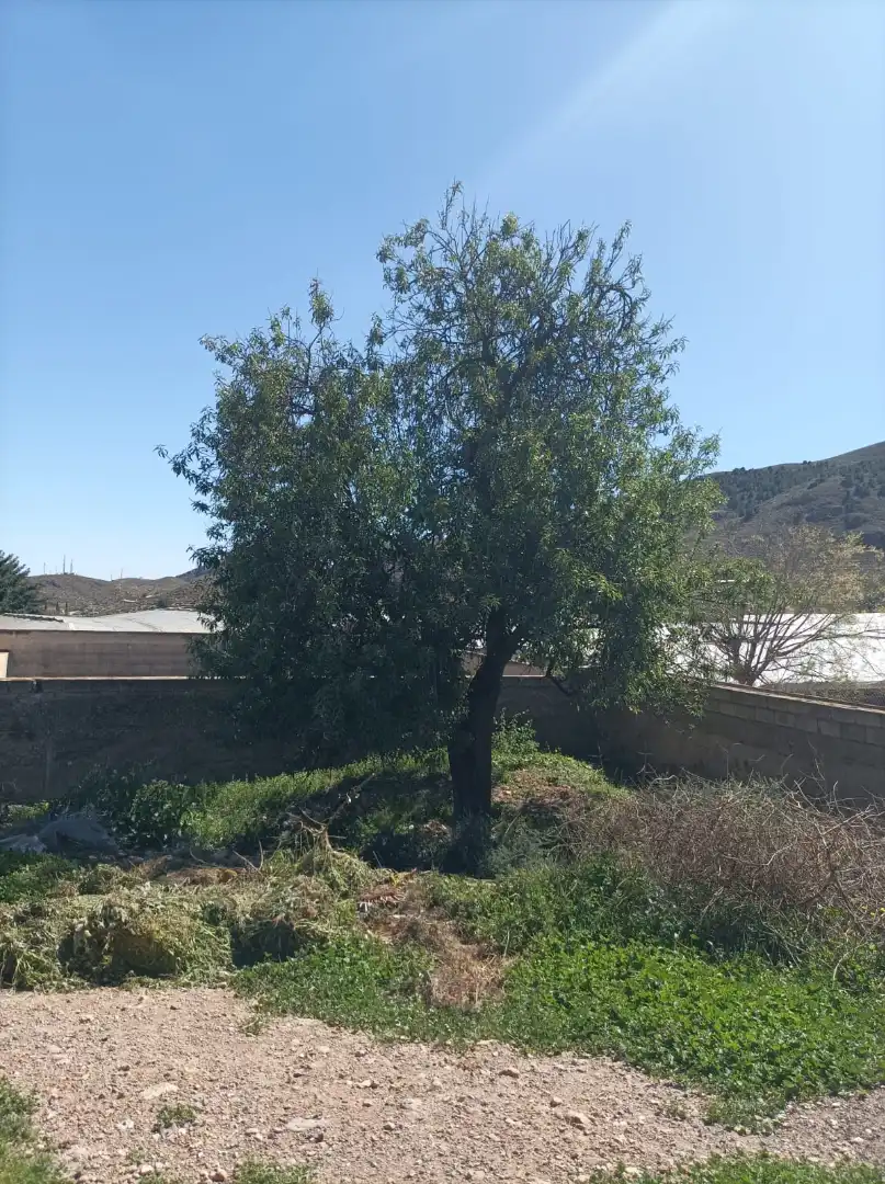 Casa rústica en venda a Dalías, imagen 6