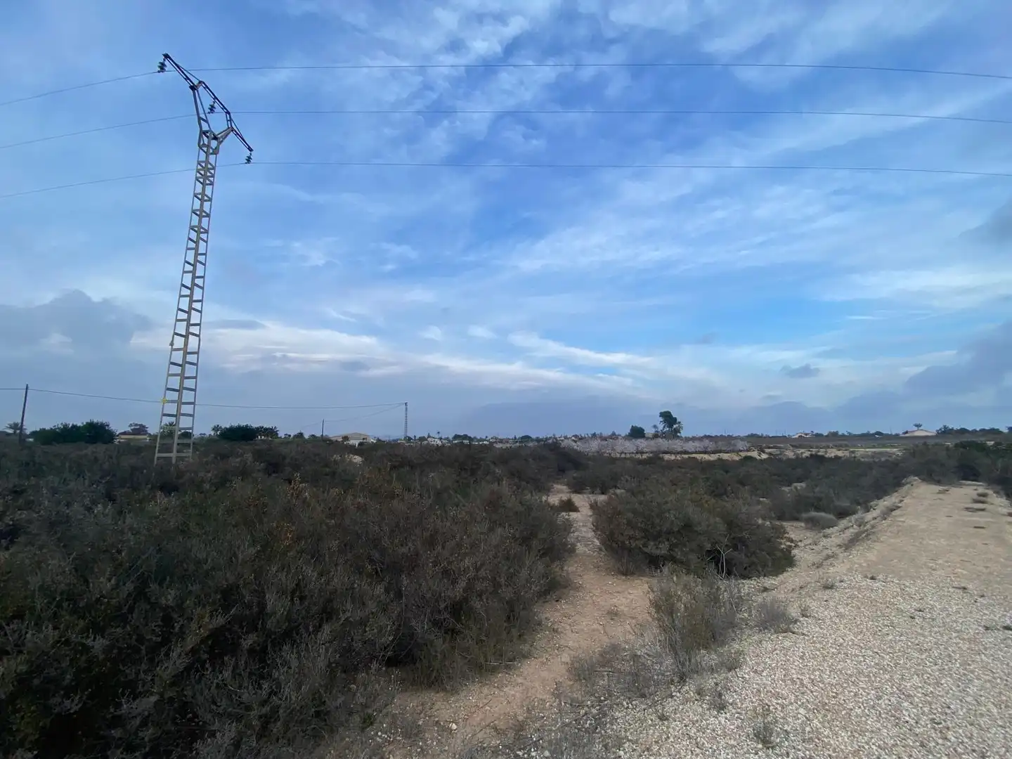 Terreno residenziale in vendita a Catral, imagen 2
