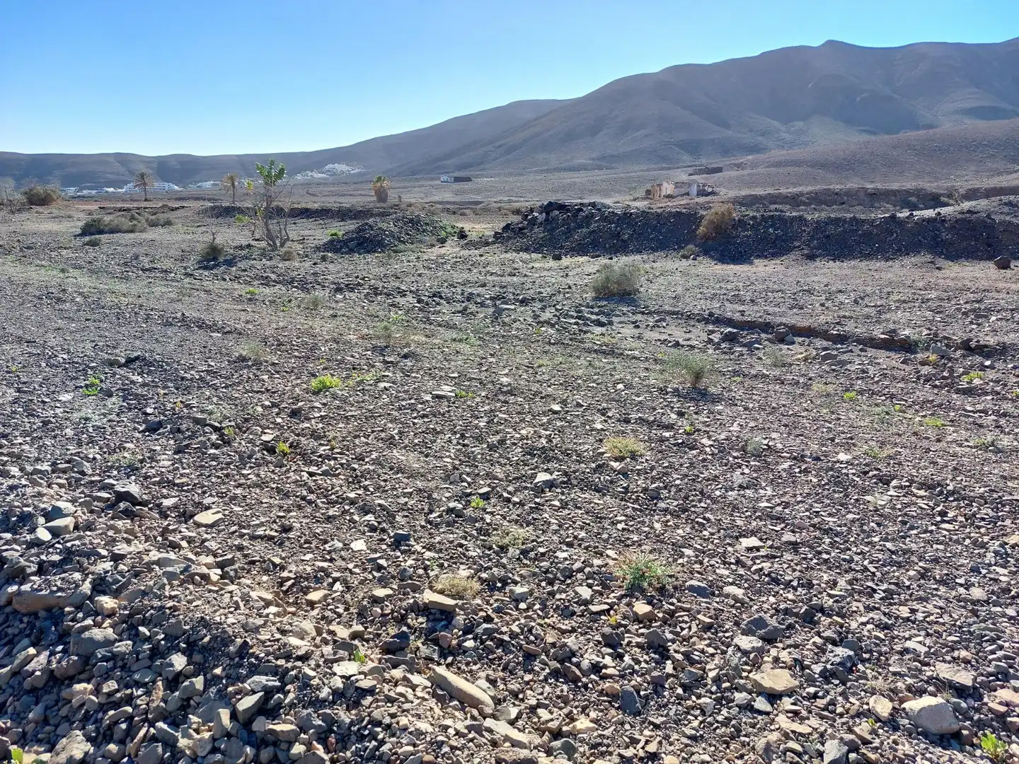 Terreno en venta en Tuineje