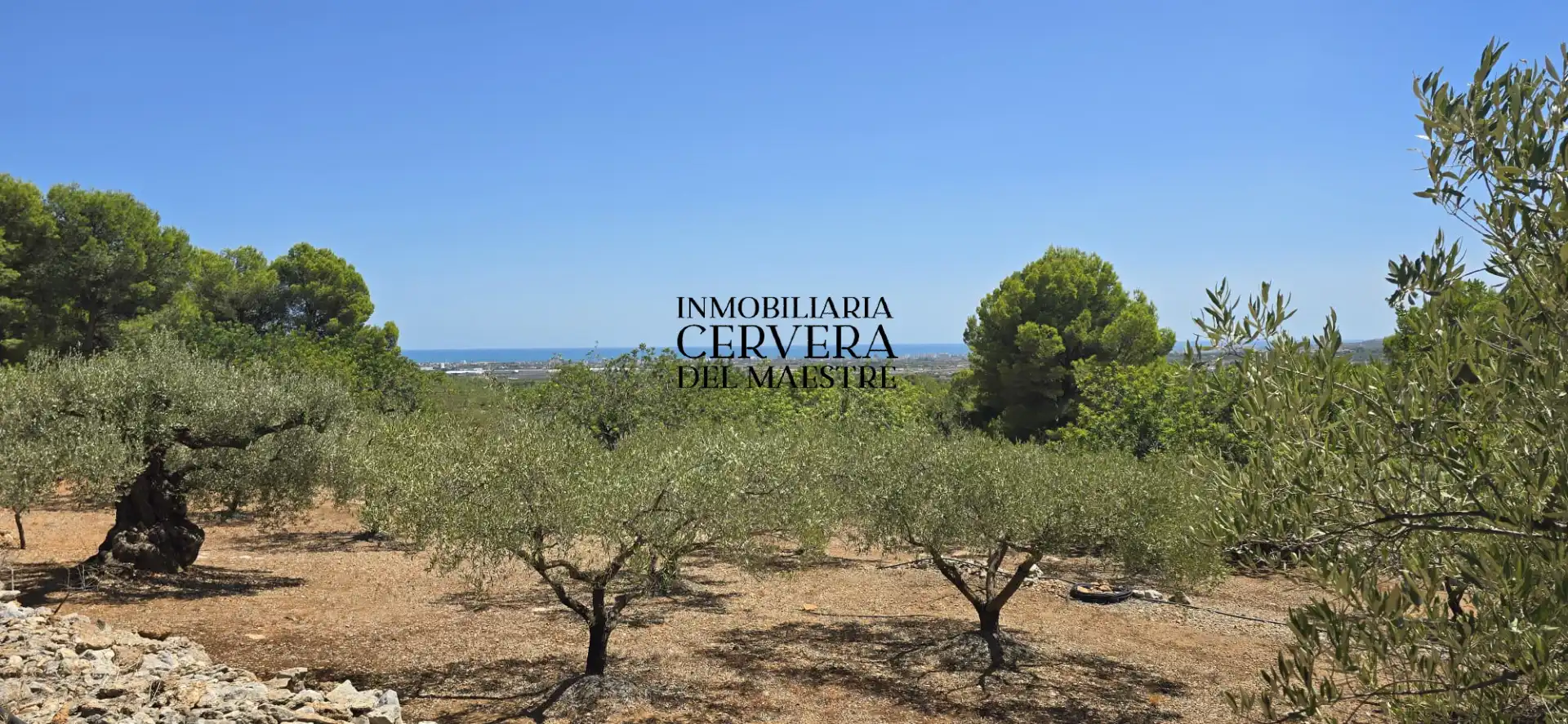 Rural land for sale in Vía Po Polígono 17 60, imagen 45