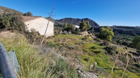 Foto 5 de Terreno en venta en Carretera 30813, Purias, Lorca