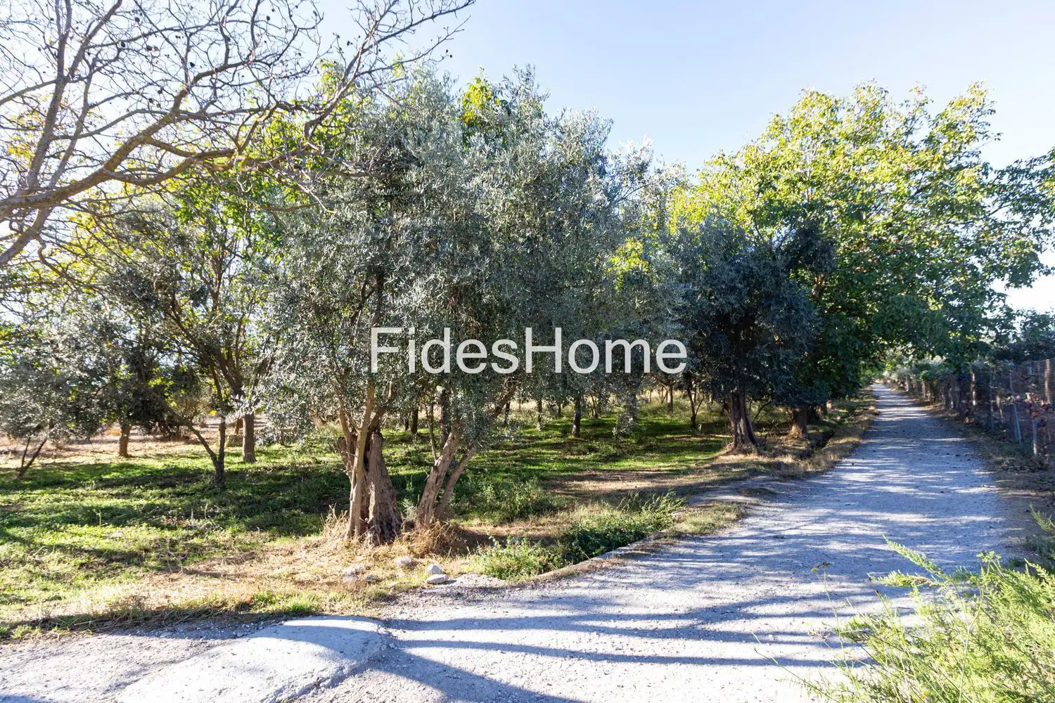 Rural land for sale in XFC2+47H Acequias 0, imagen 4