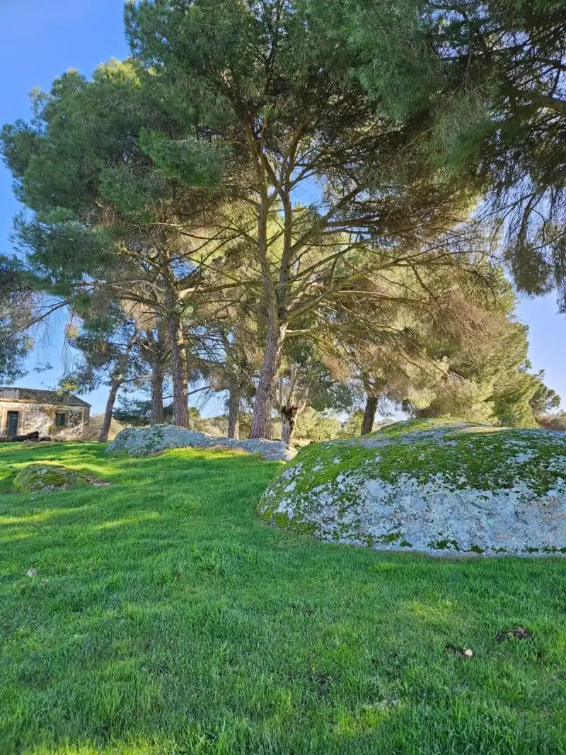 Terreni e lotti in vendita a Aldea del Cano, imagen 70