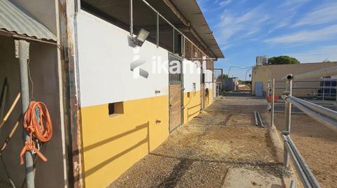 Photo 4 of Land for sale in Los Saez, El Mirador Pozo Aledo, Murcia