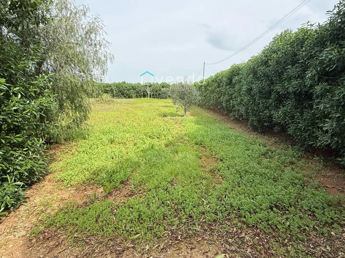 Terreny en venda en Conil de la Frontera