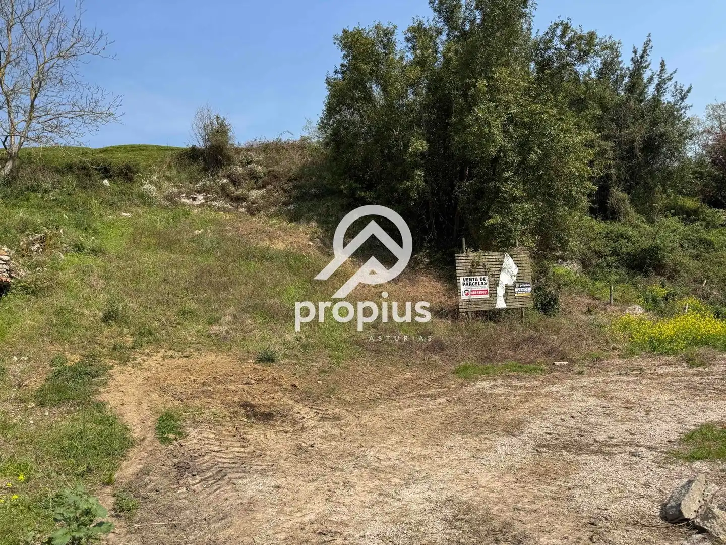Wohnbaugrundstück zum Verkauf in LA BORBOLLA, imagen 17