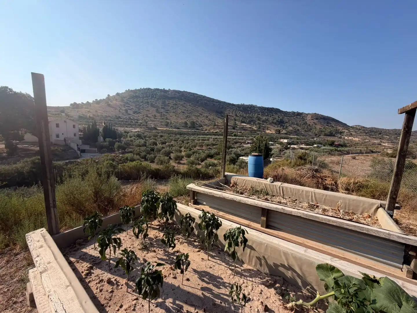 Finca rústica en venta en Aspe