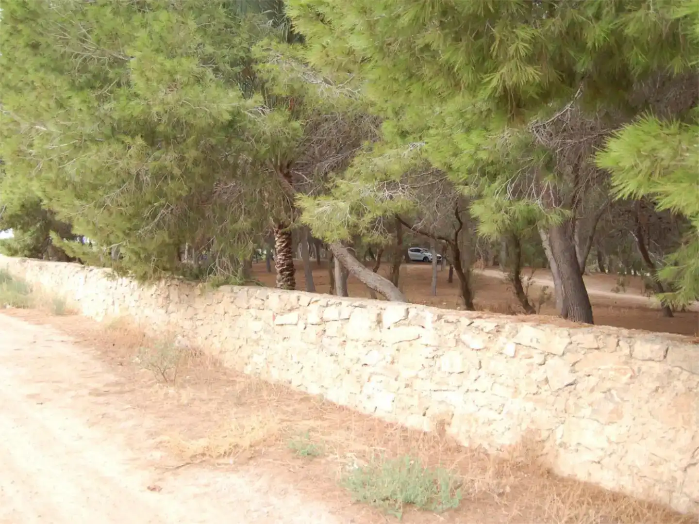 Finca rústica en venda en Orihuela amb Jardí privat