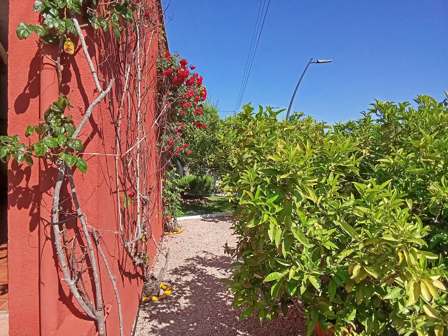 Villa à vendre à Urbanización Mediterráneo 205 22, imagen 3