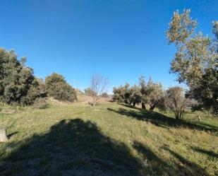 Land for sale in La Fresneda