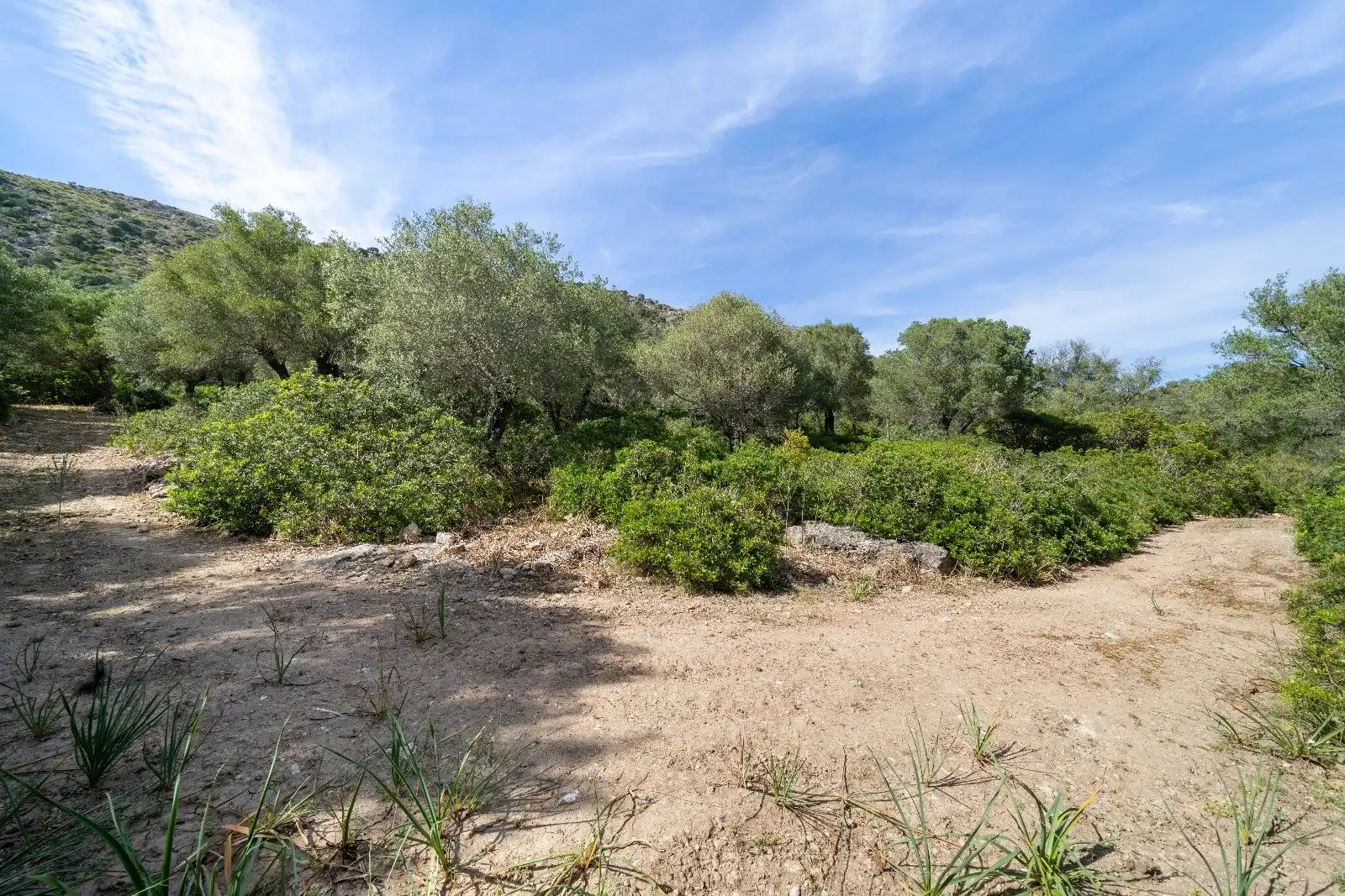 Terreny residencial en venda a Ciutat d'Alcúdia, imagen 7