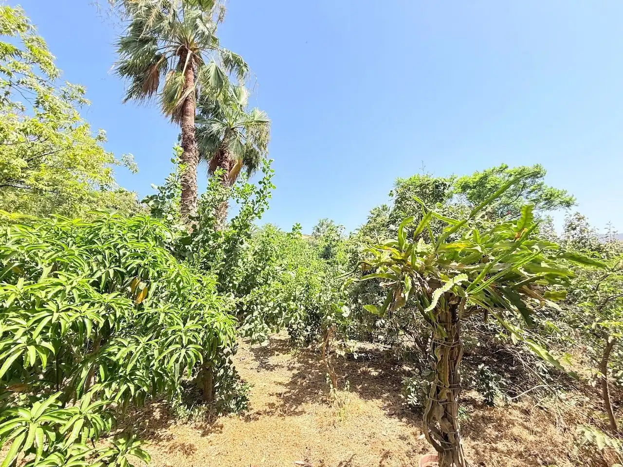 Casa o chalet en venta en Vélez-Málaga con Aire acondicionado, Calefacción y Jardín privado