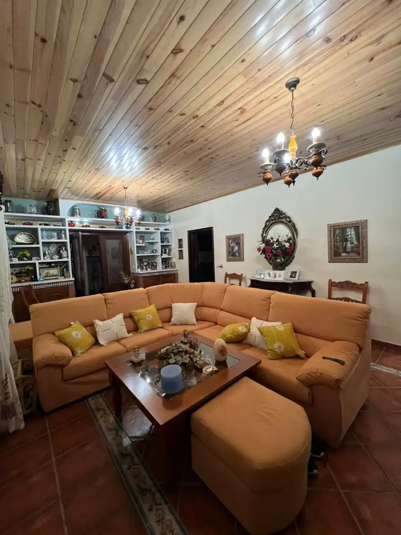 Sala d'estar de Casa adosada en venda en Palomares del Río amb Aire condicionat, Calefacció i Jardí privat