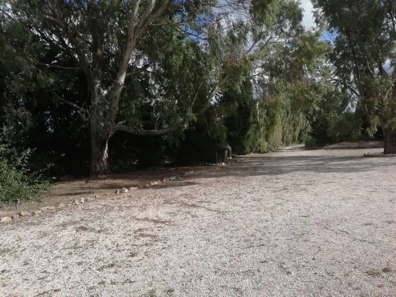 Finca rústica en venta en Pasaje PARTIDA CABRERAS, 39105, Sax