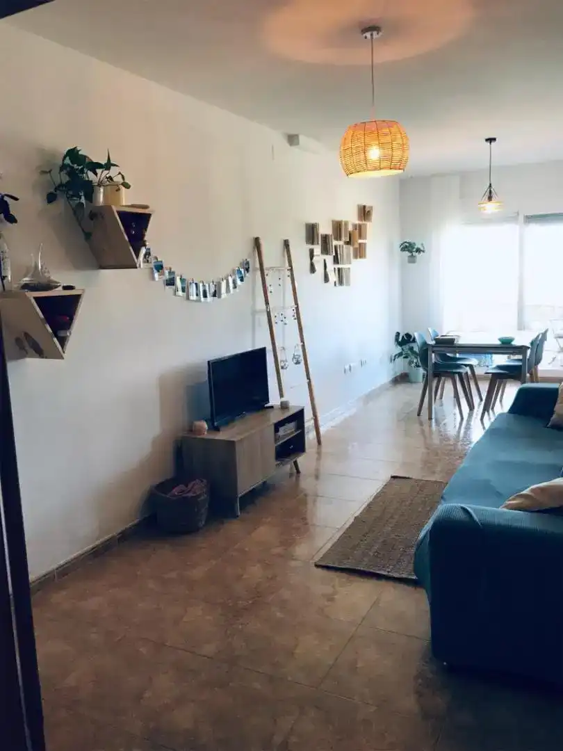 Sala d'estar de Pis en venda en Amposta amb Aire condicionat i Balcó
