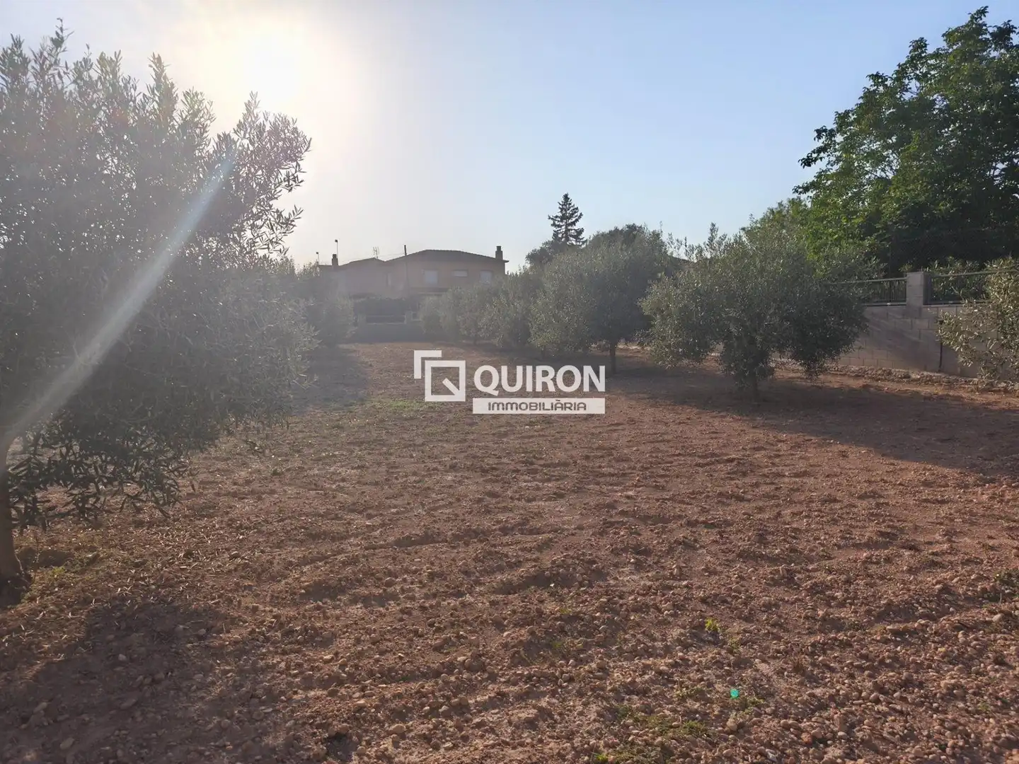 Land for sale in Montferri